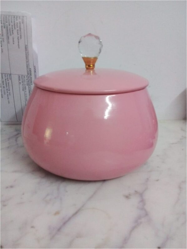Pink Iron Dry Fruit Box